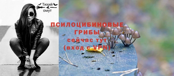 индика Арсеньев