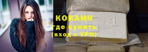шишки Аркадак