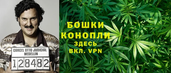 шишки Аркадак