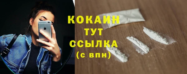 шишки Аркадак