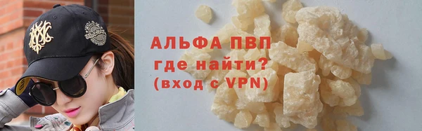 индика Арсеньев