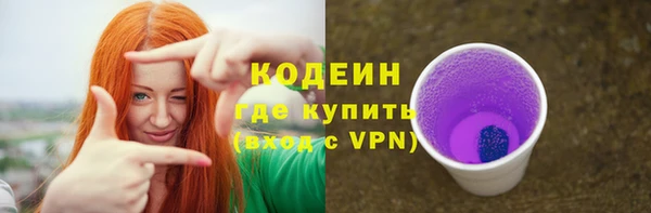 индика Арсеньев
