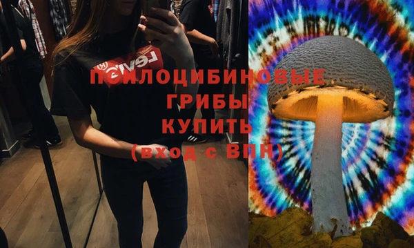 шишки Аркадак