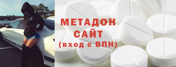 индика Арсеньев