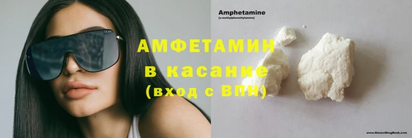 шишки Аркадак