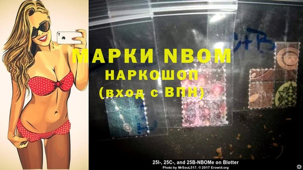 шишки Аркадак