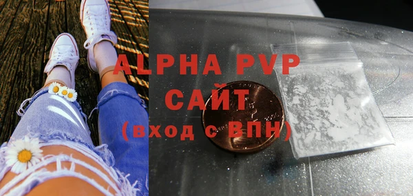 индика Арсеньев