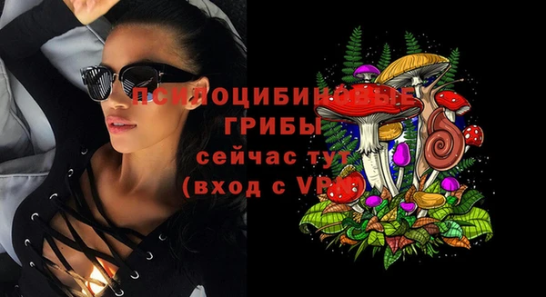 индика Арсеньев