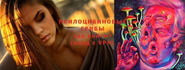бошки Вязьма