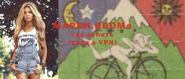 индика Арсеньев