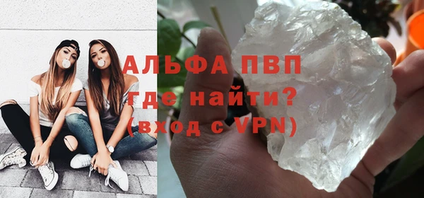 индика Арсеньев