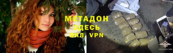 шишки Аркадак