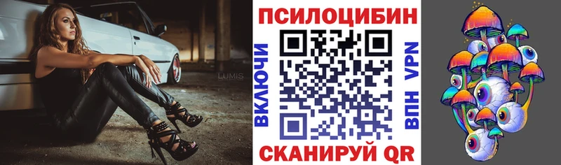 Псилоцибиновые грибы Psilocybine cubensis  Бавлы 